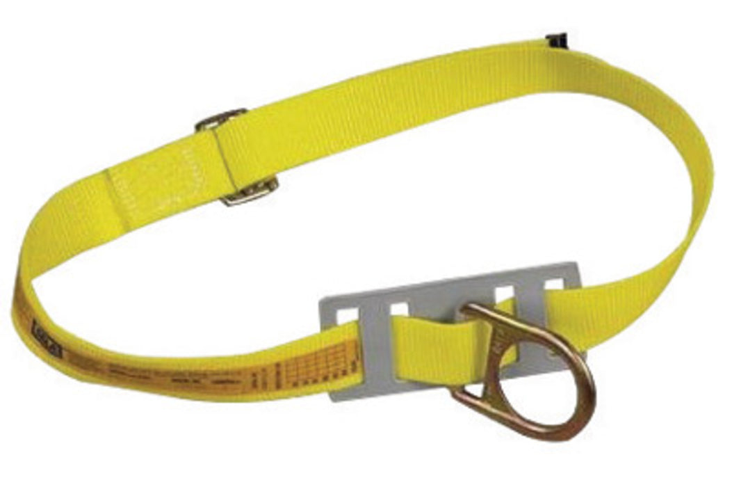 DBI/SALA 1001250 3/4 Polyester Web Boom Belt Anchor With Friction Buckle And D-Ring