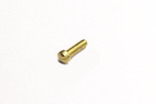 Bradley 169-256 Screw 10-32 x 5/8 FIL, Service Part