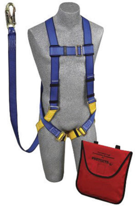 DBI/SALA AB17533 Protecta 5-Point Harness Kit (Includes AB17530 Full Body 5 Point Harness, Back D-Ring, Permanently Attached 6' AE57610 Lanyard And Bag )