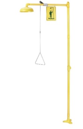 Bradley S19-110BF Free Standing - Barrier Free Drench Shower