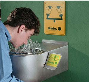 Bradley S19-220BF Emergency Eye Face Wash Wall Mount, Eyewash
