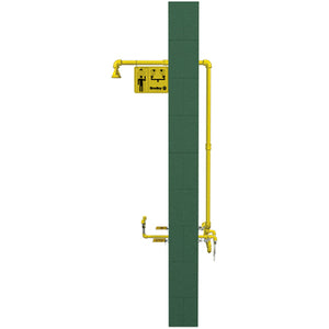 Bradley S19-310TW8 Frost Proof Wall Mounted Drench Shower Eyewash