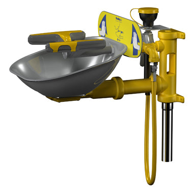 Bradley S19224P Safety Eye/Face Wash, Wall Mount, Eyewash