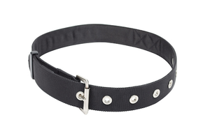3M DBI SALA 3M DBI-SALA 1500113 Utility Belt, Small-Large (28" - 46"), Tool Fall Protection